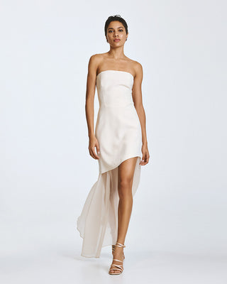 STRAPLESS DRESS