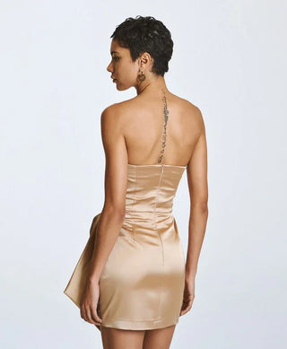 STRAPLESS DRESS