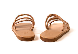 SLIDES